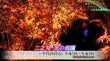 「染まるふるさと愛媛」 二之丸史跡庭園のヤマモミジ | 愛媛のニュース - Nスタえひめ|あいテレビは6チャンネル