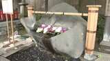 色鮮やかに「花手水」 盛岡八幡宮 季節の花で参拝客迎える|TBS NEWS DIG