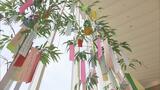 「にぎやかな町に戻ってほしい」故郷の復興と夢願い　小学生が七夕の短冊飾り　福島|TBS NEWS DIG