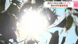 「めっちゃ暑くてとけそう」高知県内各地で猛暑日に　四万十市江川崎は39.7℃　県内今年最高気温　高知市では77歳の男性が熱中症の疑いで救急搬送も　|　高知のニュース・天気｜KUTV NEWS | KUTVテレビ高知