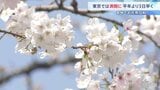 東京の桜が「満開」発表 平年より3日早く　きょうの都心は4月中旬並みの暖かさに|TBS NEWS DIG