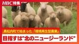 目指すは“北のニュージーランド”！黒松内町で始まった羊飼育プロジェクト「めぐさとファーム」が描く、環境再生と地域産業の未来図　|　北海道のニュース｜HBC北海道放送