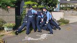 住宅街にイノシシ相次ぎ出没 70代の女性や男性が背中や足にけが 大分市 | 大分のニュース|OBS NEWS|大分放送