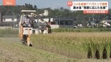 来年(2026年)のコメ生産量711万トンで調整 農水省「需要に応じた生産」 今年は収穫大幅増の見通し|TBS NEWS DIG