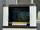 盛岡市動物公園ZOOMOでピューマの赤ちゃんと母親の様子をライブ映像モニタで公開|TBS NEWS DIG