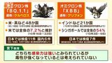 【解説】迫るコロナ第８波　新変異の「ケルベロス」「グリフォン」日本で流行の可能性は　呼吸器系ウイルスは冬に流行しやすい|TBS NEWS DIG