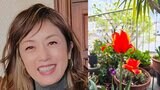 【高岡早紀】　「綺麗な色　気持ちが明るくなるね」「目を閉じても残像が暫くは残っています」　ベランダに咲いたチューリップの投稿に反響続々|TBS NEWS DIG
