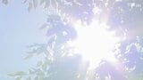 「立っているだけで汗が」午前中から気温上昇 予想最高気温36℃ 静岡市は今季初の「猛暑日」か|TBS NEWS DIG