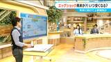 卵の価格がじわじわ上昇中 「エッグショック」が再び? スーパーで“98円セールは見なくなった” 今後の動きを解説 | 名古屋・愛知・岐阜・三重のニュース【CBC news】 | CBC web