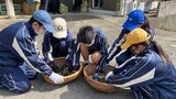 八十八夜 高温の茶葉を手でもむ 中学生が伝統の釜炒り茶づくりを体験 大分 | 大分のニュース|OBS NEWS|大分放送