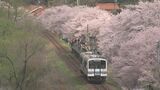 "線路の上を歩ける"イベント開催へ　旧JR三江線の廃止6年記念でお花見&ウォーキングイベント　「トロッコ列車」の運行も予定　|　BSSニュース | BSS山陰放送