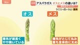 「太くて甘い」初夏のアスパラガス 実は“オス”と“メス”がある!?見分け方や味の違いとは メスは食感もやわらかい!?|TBS NEWS DIG