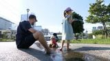 「暑くて倒れそう…」静岡で36.9℃ 酷暑の夏到来「熱中症対策」を薬局と病院で聞いてみた! | 静岡のニュース | SBSNEWS | 静岡放送