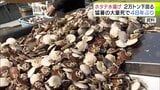 猛暑で大量死の青森県産ホタテ　昨年度の水揚げ量は48年ぶりに2万トン下回る　今年度はさらに減り水揚げ量は1万トン程度になるか…　県漁連　|　青森のニュース│ATV NEWS│青森テレビ