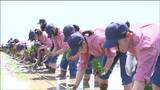 「生徒たちが声を出して田植えができる」“138年の伝統行事”県農業高校で全校生徒が田植え　宮城・名取市　|　宮城のニュース│tbc NEWS│tbc東北放送