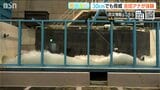 高さ50~60cmの津波でアッという瞬間に溺れる恐怖「水の力 恐るべし」津波の脅威を知る|TBS NEWS DIG