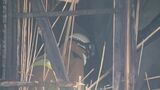 長野県須坂市の住宅火災 焼け跡から見つかった遺体は住人の64歳女性と判明|TBS NEWS DIG