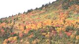 「紅葉来たっ!」浄土平に広がる“錦色の光景” 紅葉ピーク迎える 例年より1週間遅く 福島 | 福島のニュース│TUF