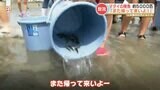 元気に育って! 上天草市の小学生がマダイの稚魚を放流 | 熊本のニュース|RKK NEWS|RKK熊本放送