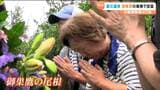 「健くんと健太さんが結んだ縁」日航機墜落事故40年 震災遺族も慰霊登山続ける理由「これからの安全つくる」 | 宮城のニュース│tbc NEWS│tbc東北放送