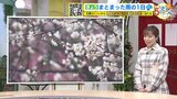 【2月6日(火)天気】天気回復はゆっくり 火曜も雲が広がる一日 北部は朝晩に雪・雨パラつく |TBS NEWS DIG