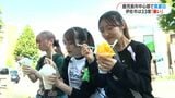 「体の中から涼しくなりたい」鹿児島市中心部で30度越でかき氷店にぎわう　|　鹿児島のニュース｜MBC NEWS｜南日本放送