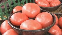 来月は「トマト」「ほうれんそう」「きゅうり」などが高くなる見通し　一方「にんじん」は安く　農水省発表| TBS CROSS DIG with Bloomberg