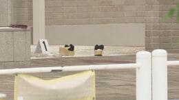 【速報】死亡したのは無職の25歳の女性と判明　東京・新宿区のタワーマンションで男に刺される　逮捕の男「体を傷だらけにしてやろうと思った」|TBS NEWS DIG