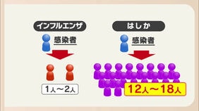 コンサート会場で”はしか感染者”　同じ会場にいた人の感染リスクは？|TBS NEWS DIG