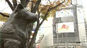 ハロウィーン対策で渋谷駅前“ハチ公像”周辺の封鎖作業を開始　封鎖は来月1日まで|TBS NEWS DIG