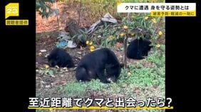 深刻化する“クマ害”「国民の命守れない」秋田県が自衛隊派遣を要請 もしクマと至近距離で出会ったら?被害を軽減する“ある姿勢”とは【news23】|TBS NEWS DIG