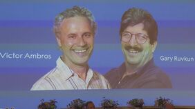 ノーベル生理学・医学賞は米の研究者ら2人|TBS NEWS DIG