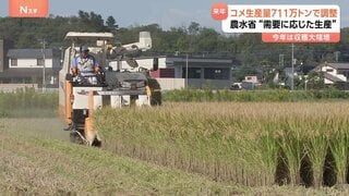 来年(2026年)のコメ生産量711万トンで調整 農水省「需要に応じた生産」 今年は収穫大幅増の見通し| TBS CROSS DIG with Bloomberg