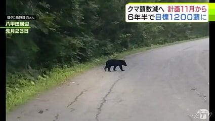 出没相次ぐ「ツキノワグマ」2025年11月からの『約6年半』で1200頭ほど