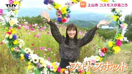 コスモス畑のブランケット img_455a89a9fb6c5fa6f9430f600f