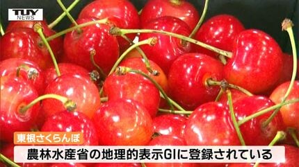 美味しいさくらんぼの見分け方｜味の農園 さくらんぼ様、確認用