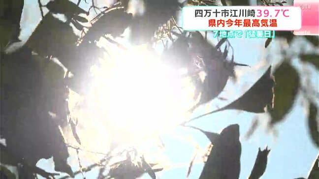 「めっちゃ暑くてとけそう」高知県内各地で猛暑日に　四万十市江川崎は39.7℃　県内今年最高気温　高知市では77歳の男性が熱中症の疑いで救急搬送も|TBS NEWS DIG
