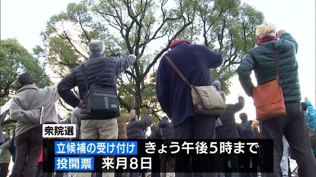 衆院選公示　宮崎県内では3つの選挙区に9人が立候補|TBS NEWS DIG