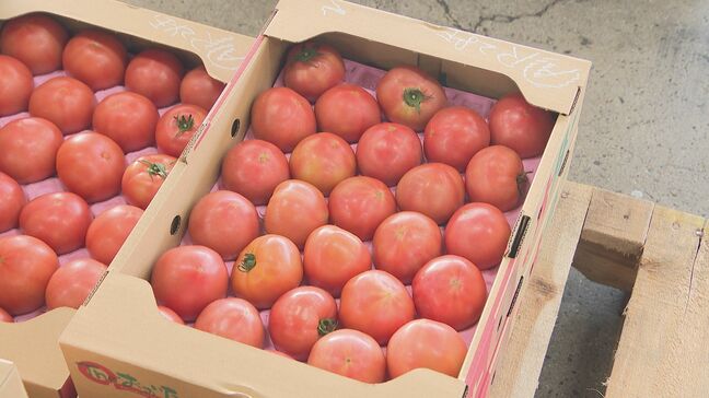 “早すぎる夏” 氷の需要急増　トマト・キュウリに生育障害…夏野菜に異変、価格上昇か|TBS NEWS DIG