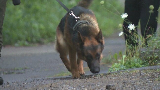 【捜索再開】クマに襲われて安否不明の20代男性 両足の太もも付近から大量出血か 北海道羅臼岳|TBS NEWS DIG
