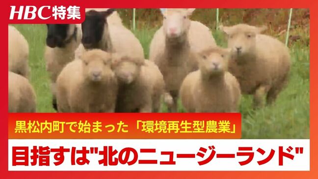 目指すは“北のニュージーランド”!黒松内町で始まった羊飼育プロジェクト「めぐさとファーム」が描く、環境再生と地域産業の未来図|TBS NEWS DIG