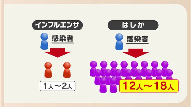 コンサート会場で”はしか感染者” 同じ会場にいた人の感染リスクは?|TBS NEWS DIG