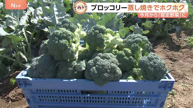 今月から指定野菜「ブロッコリー」サラダだけじゃない絶品グルメ!一大産地の埼玉県スピード半端ない収穫方法は?|TBS NEWS DIG