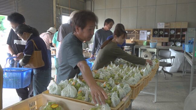 高校生が実習で育てた野菜の苗やブドウを販売　シャインマスカットとピオーネ　225房が1時間半ほどで完売|TBS NEWS DIG