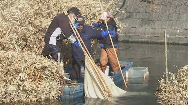 伝統のシロウオ漁が最盛期 昔ながらの漁法を後世へ 大分・佐伯市|TBS NEWS DIG