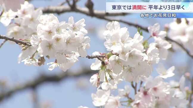 東京の桜が「満開」発表 平年より3日早く　きょうの都心は4月中旬並みの暖かさに|TBS NEWS DIG