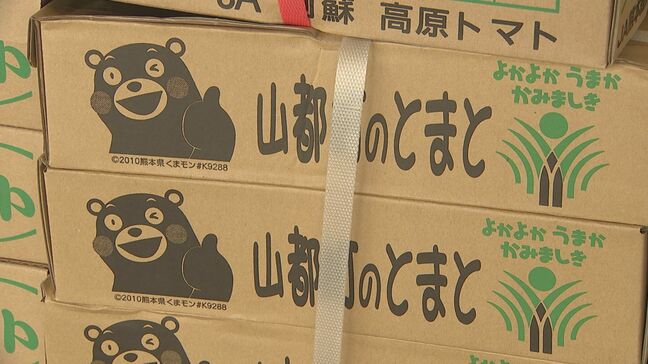 記録的大雨の影響が食卓にじわり…熊本産「ナス」「トマト」入荷が減少「熊本県は野菜の大産地の1つ」10月ごろ相場に影響の可能性|TBS NEWS DIG