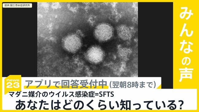 マダニ媒介のウイルス感染症=SFTSで死亡例増加…あなたはどのくらい知っている?【news23】|TBS NEWS DIG