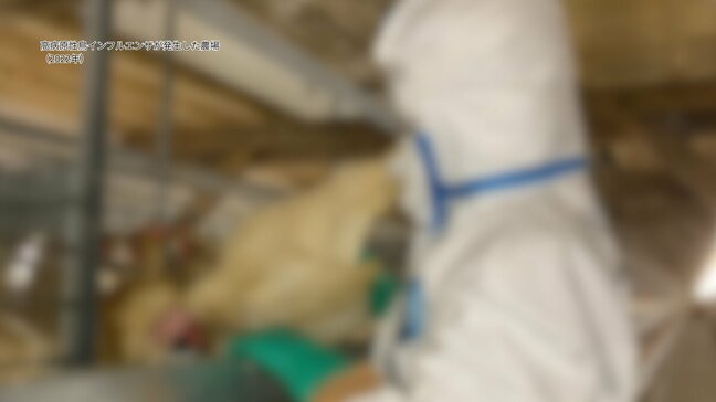 けがをした野鳥から鳥インフルエンザウイルスの陽性反応　半径10キロが「野鳥監視重点区域」に　沖縄市|TBS NEWS DIG