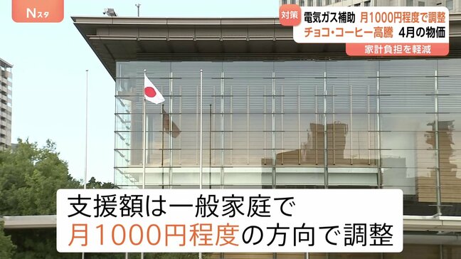 政府、夏の電気・ガス代補助を月1000円程度で調整 家計負担を軽減へ 具体的な内容は月内にも決定|TBS NEWS DIG